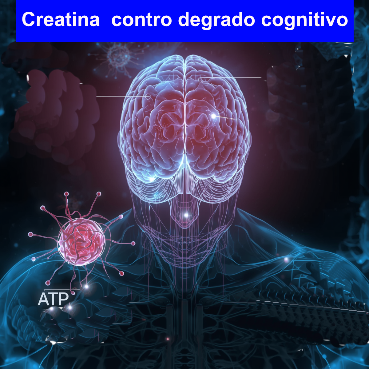 Creatina e degrado cognitivo